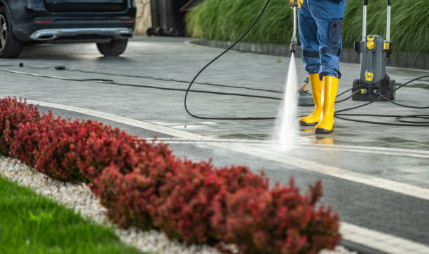 Best Roof Pressure Washing  in Columbus Junction, IA